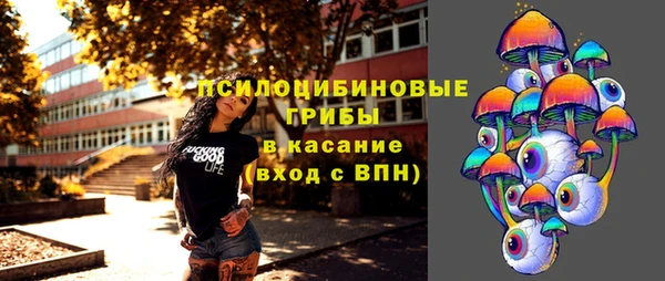 кокс Арсеньев