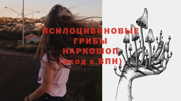 трава Армянск