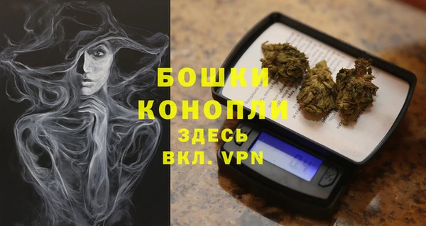 кокс Арсеньев