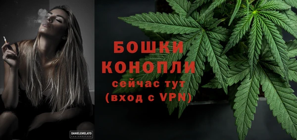 кокс Арсеньев
